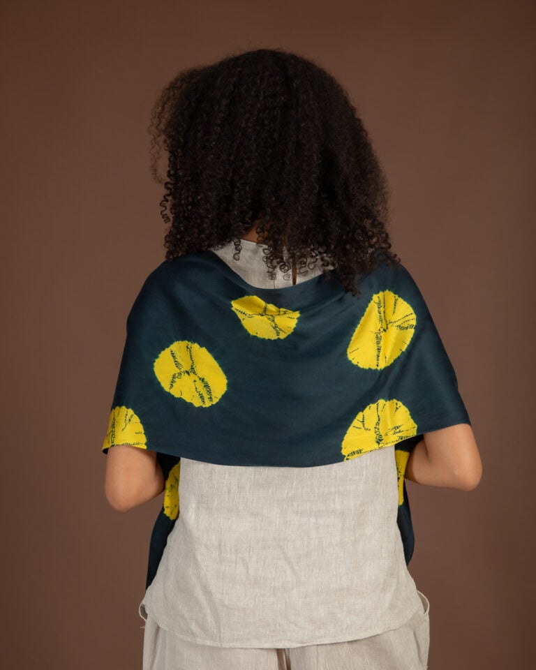 Model (223 of 305)
