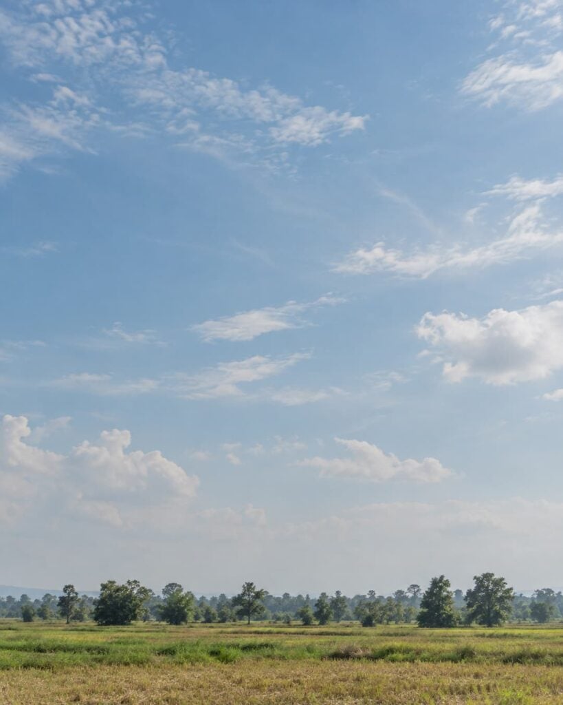 Korat blue sky